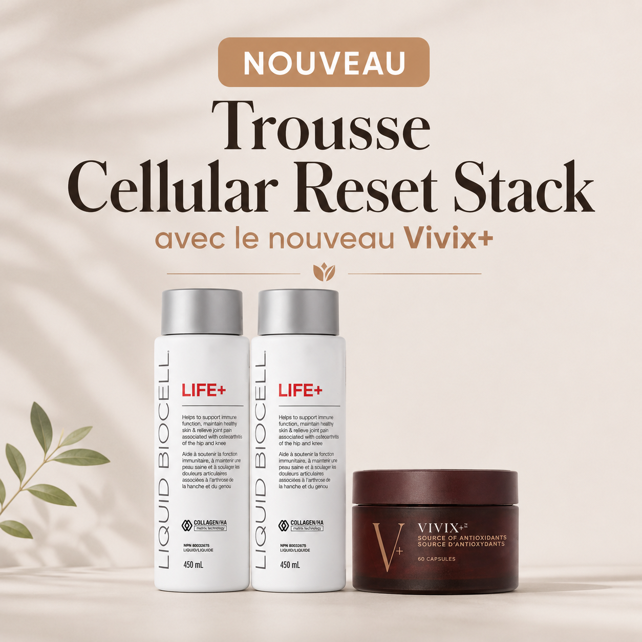 trousse cellular reset stack biocell vivix nad+